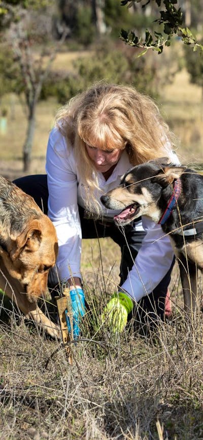 Barry & Roxy finding truffles