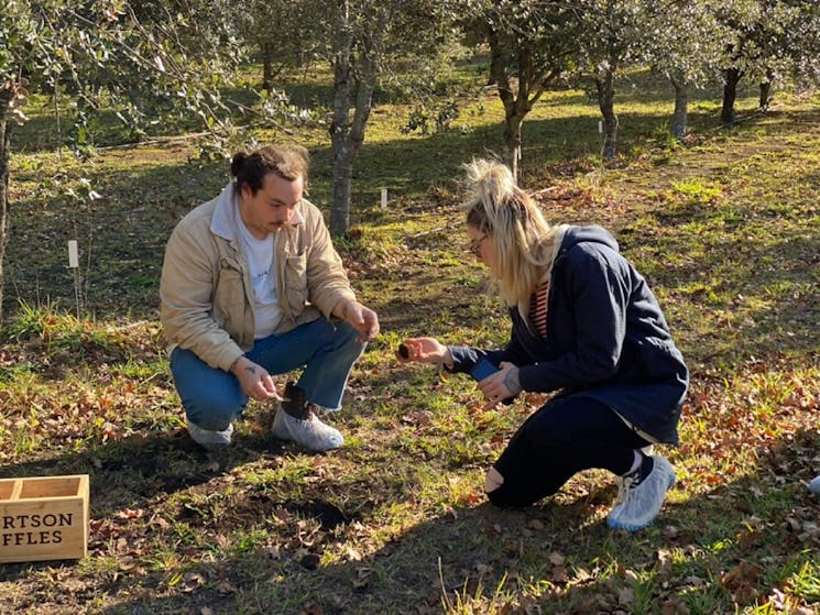 Robertson Truffles