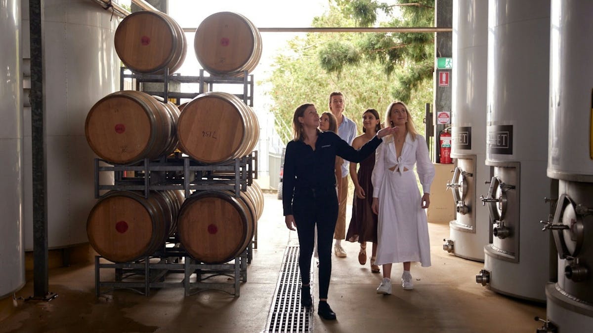 Winery tour