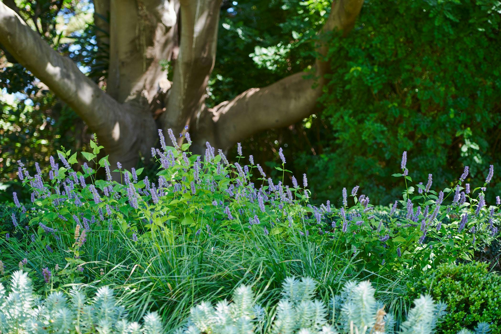 Como House and Garden