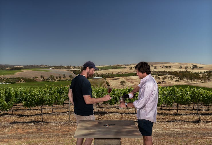 Koerner Wine