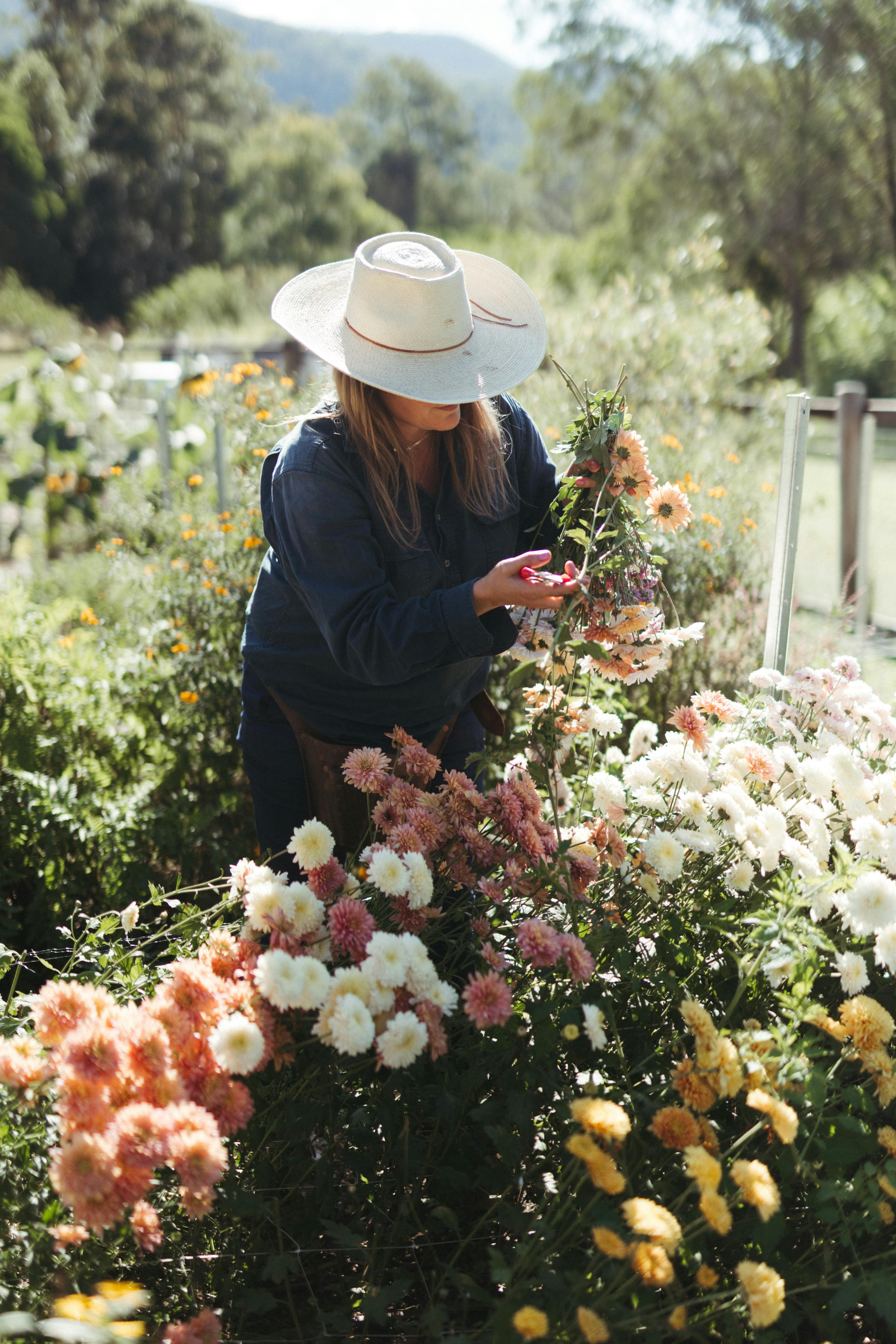 Flower Farm near me