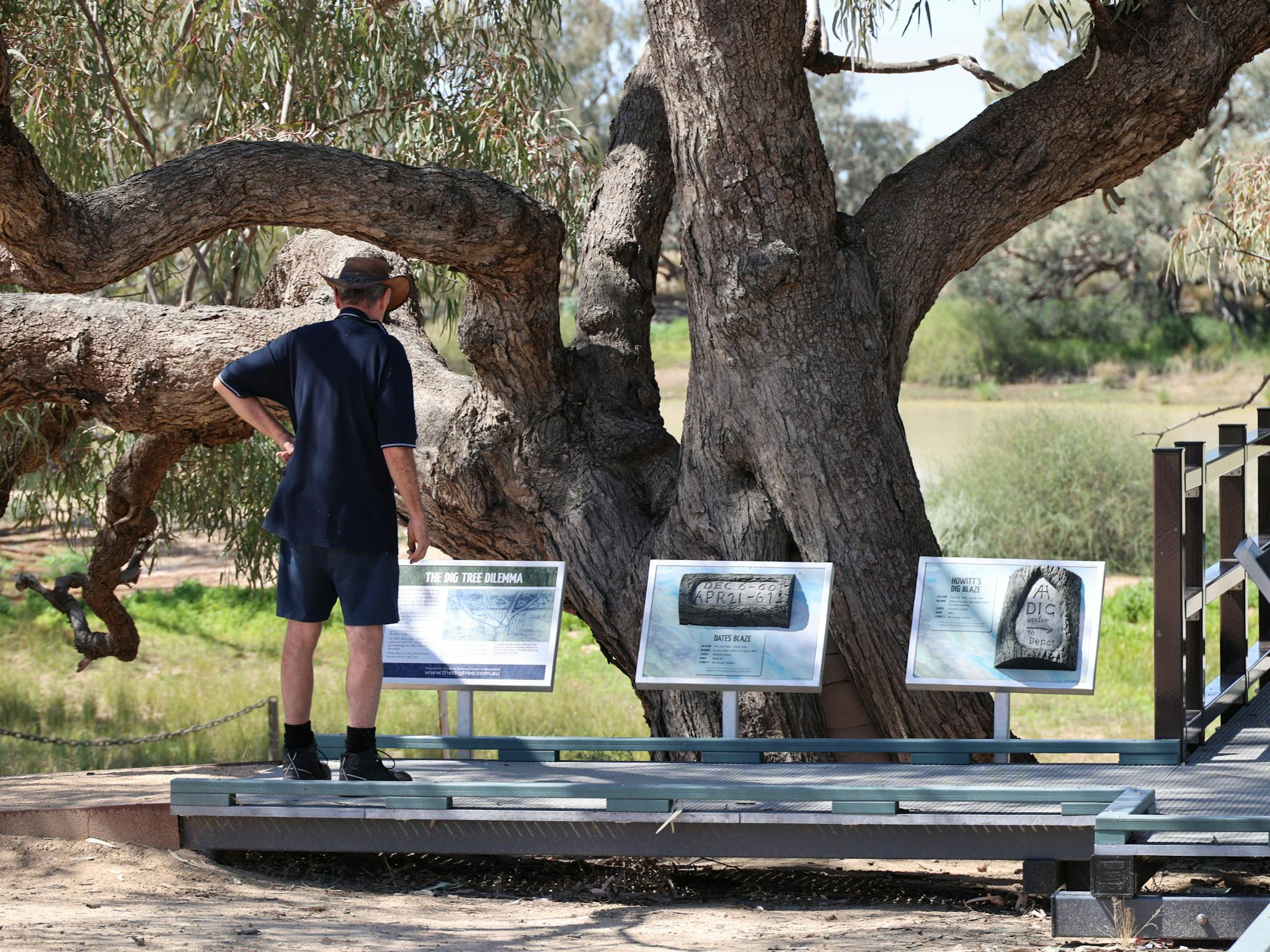 Burke And Wills Dig Tree | Attractions | Queensland