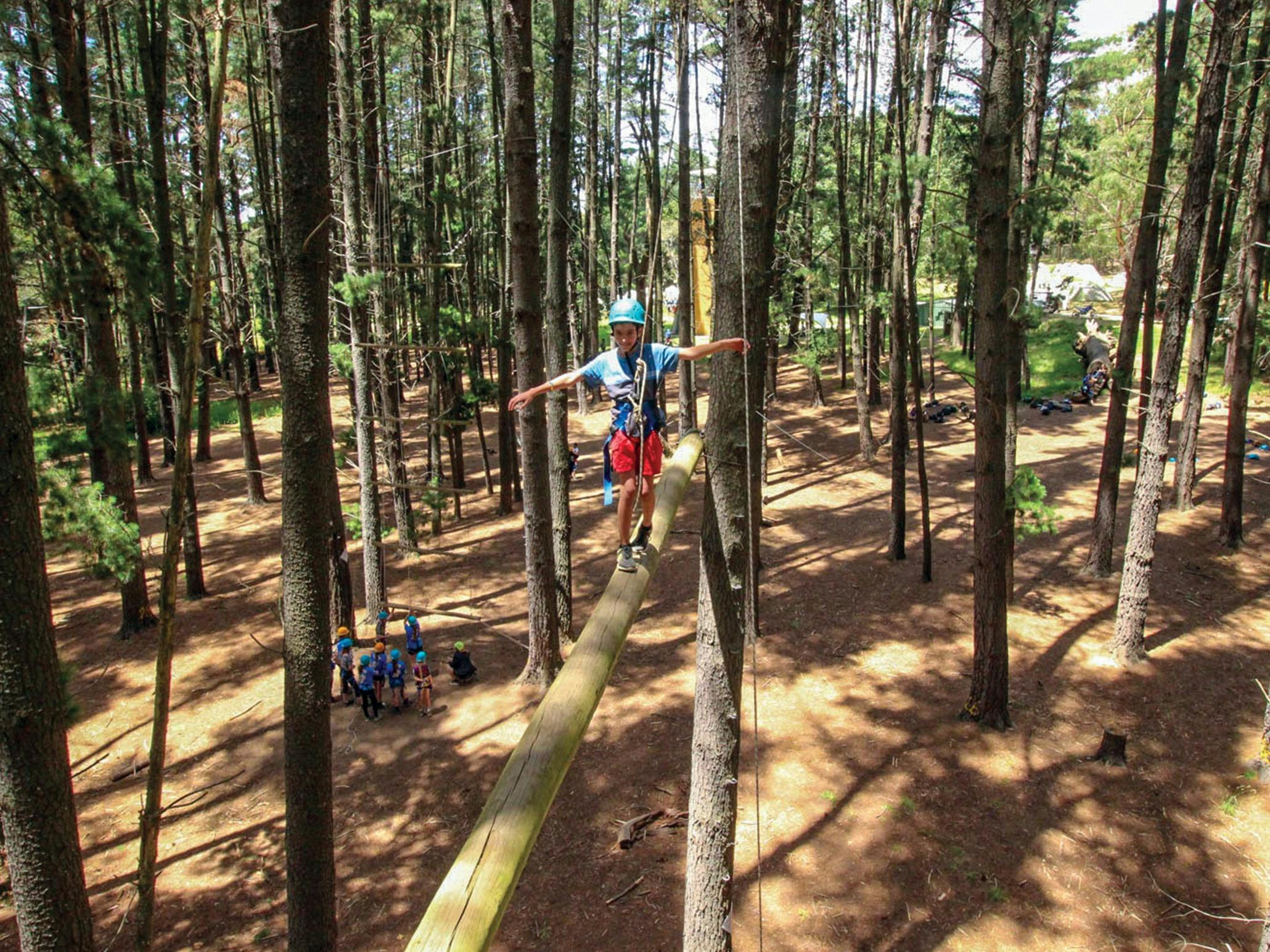 Go Wild at MLAH - School  Holiday