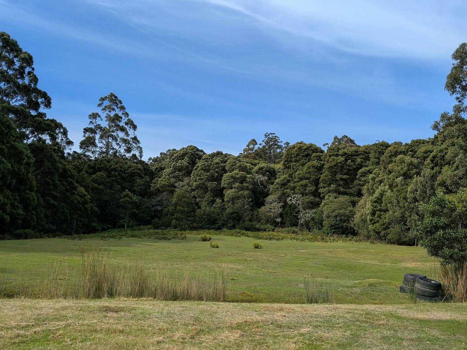 Site 2, flat land, suited to tents, vans or smaller caravans. No reception.
