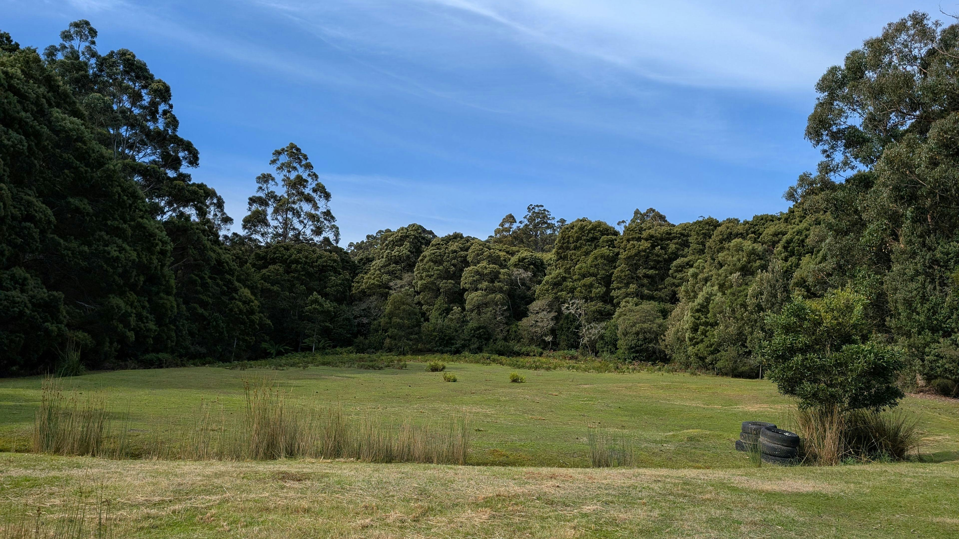 Site 2, flat land, suited to tents, vans or smaller caravans. No reception.