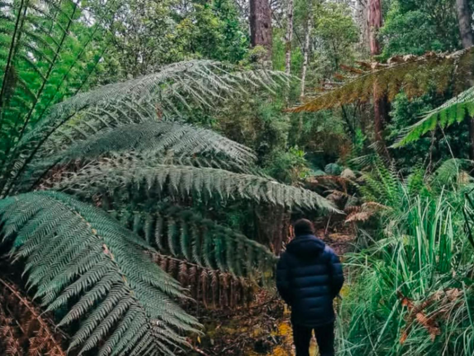 The Pepperberry bushwalk track