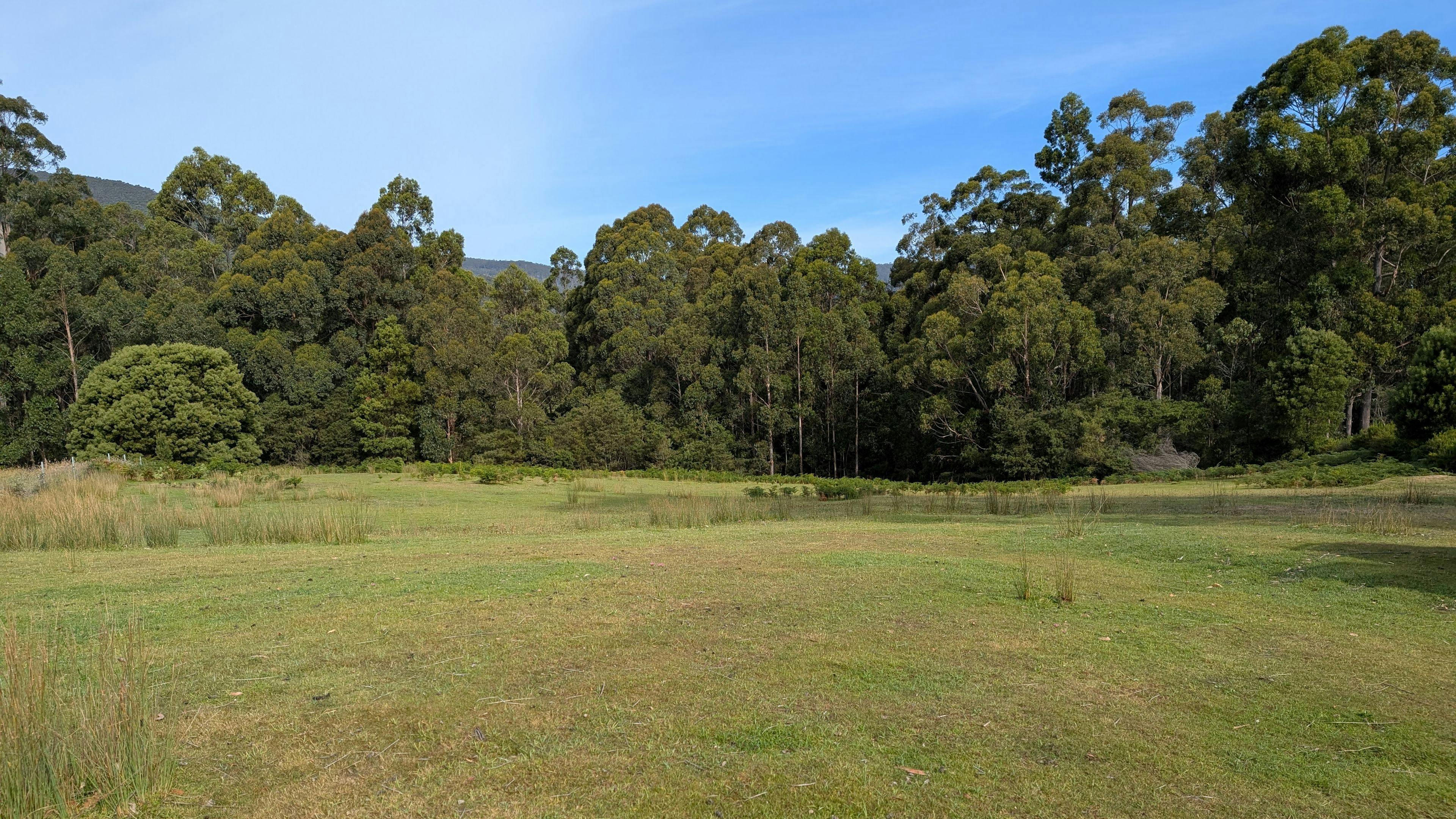 Site 1, sloping land towards the bush with a few flatter spots. 