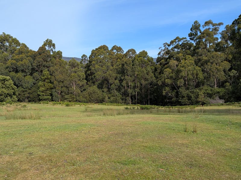 Site 1, sloping land towards the bush with a few flatter spots.