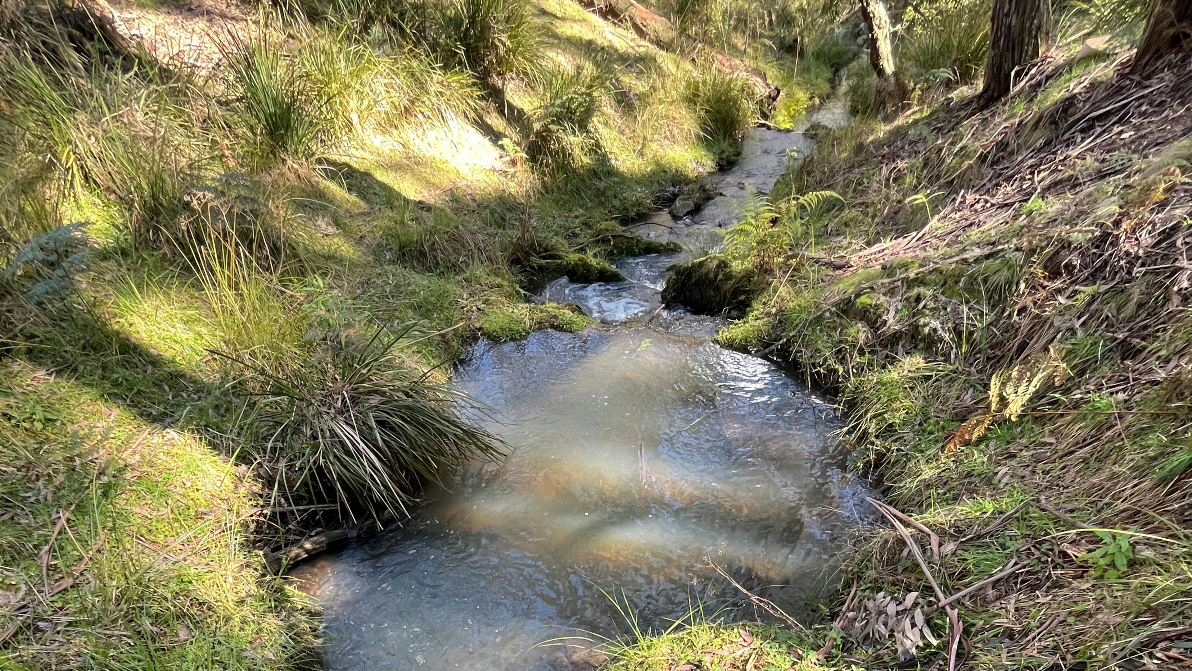 100 Private Acres to Yourself