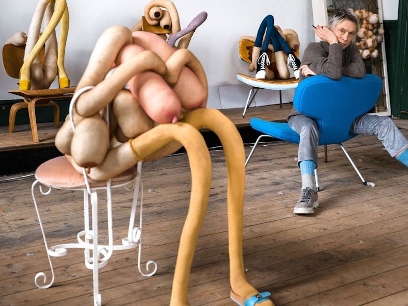 Image for Project 1: Sarah Lucas ** Currently Closed **