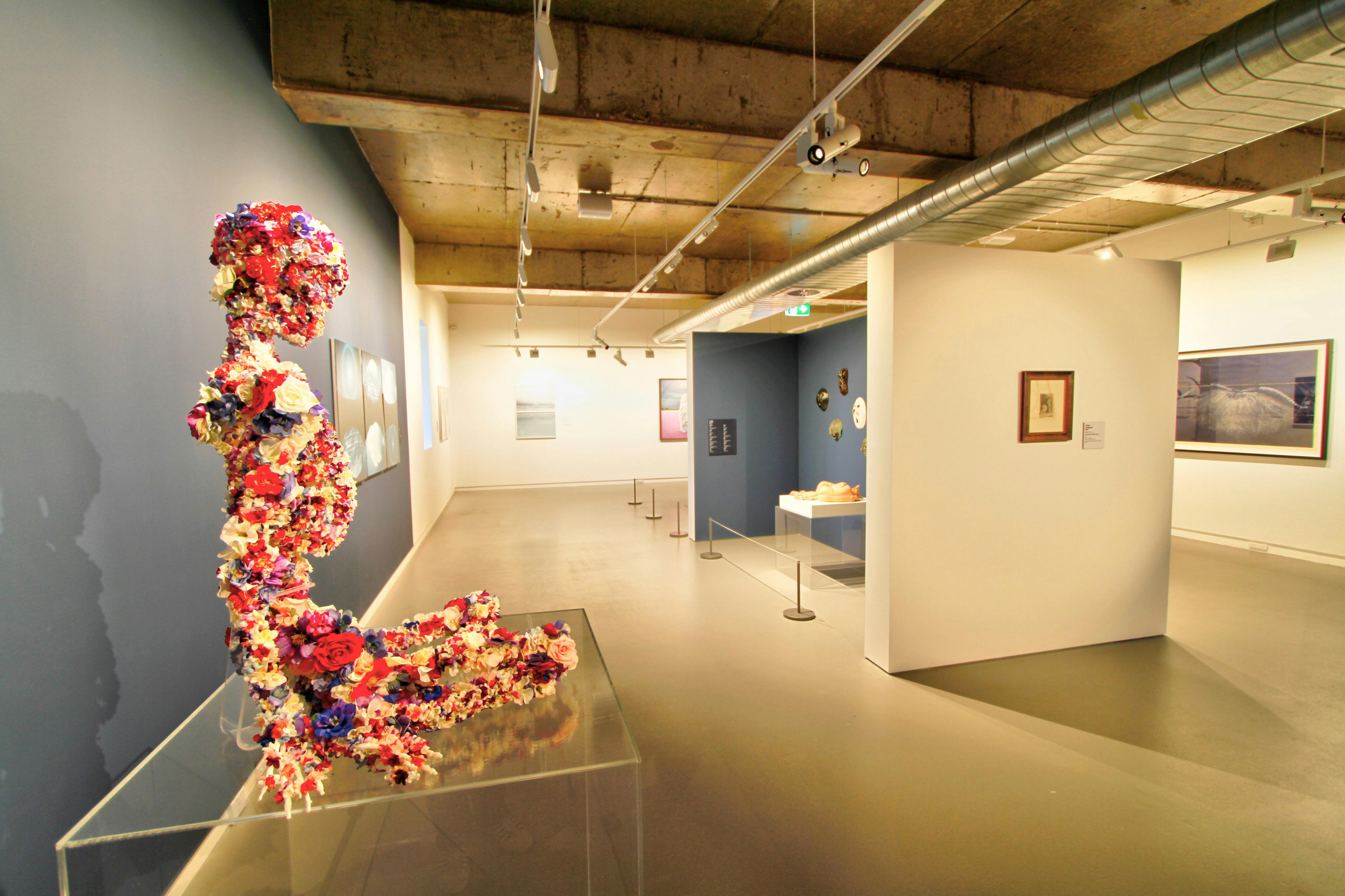 Artist in Conversation with Jan Learmonth