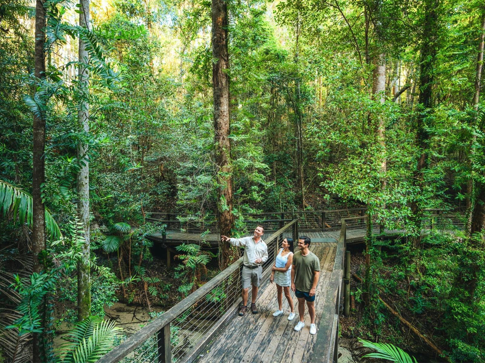 Wanggoolba Creek, K'gari Fraser Island