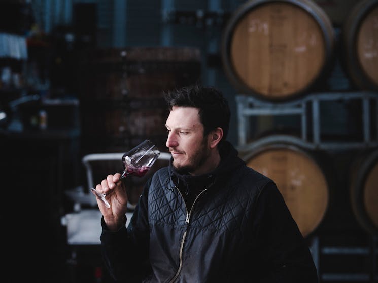Winemaker smells wine in barrel room