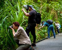 nature photographers shooting in the rainforest