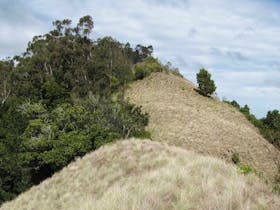 Pieries Peak Walking Track