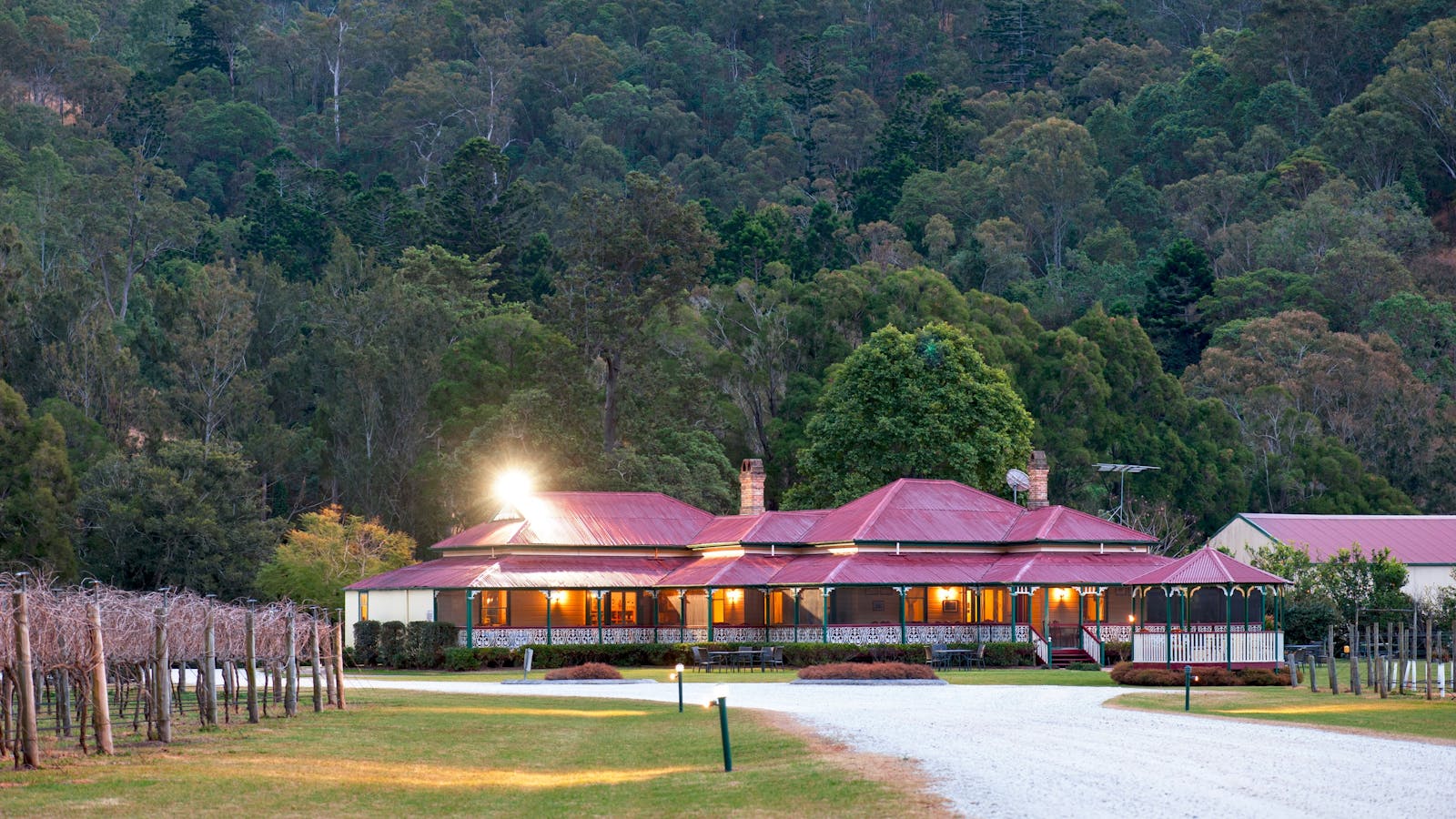O'Reilly's Canungra Valley Vineyards