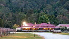Vineyards, Homestead, Wineries, Wine
