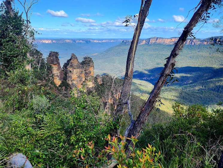 Blue Mountains Day Tour | Three Sisters rock formation