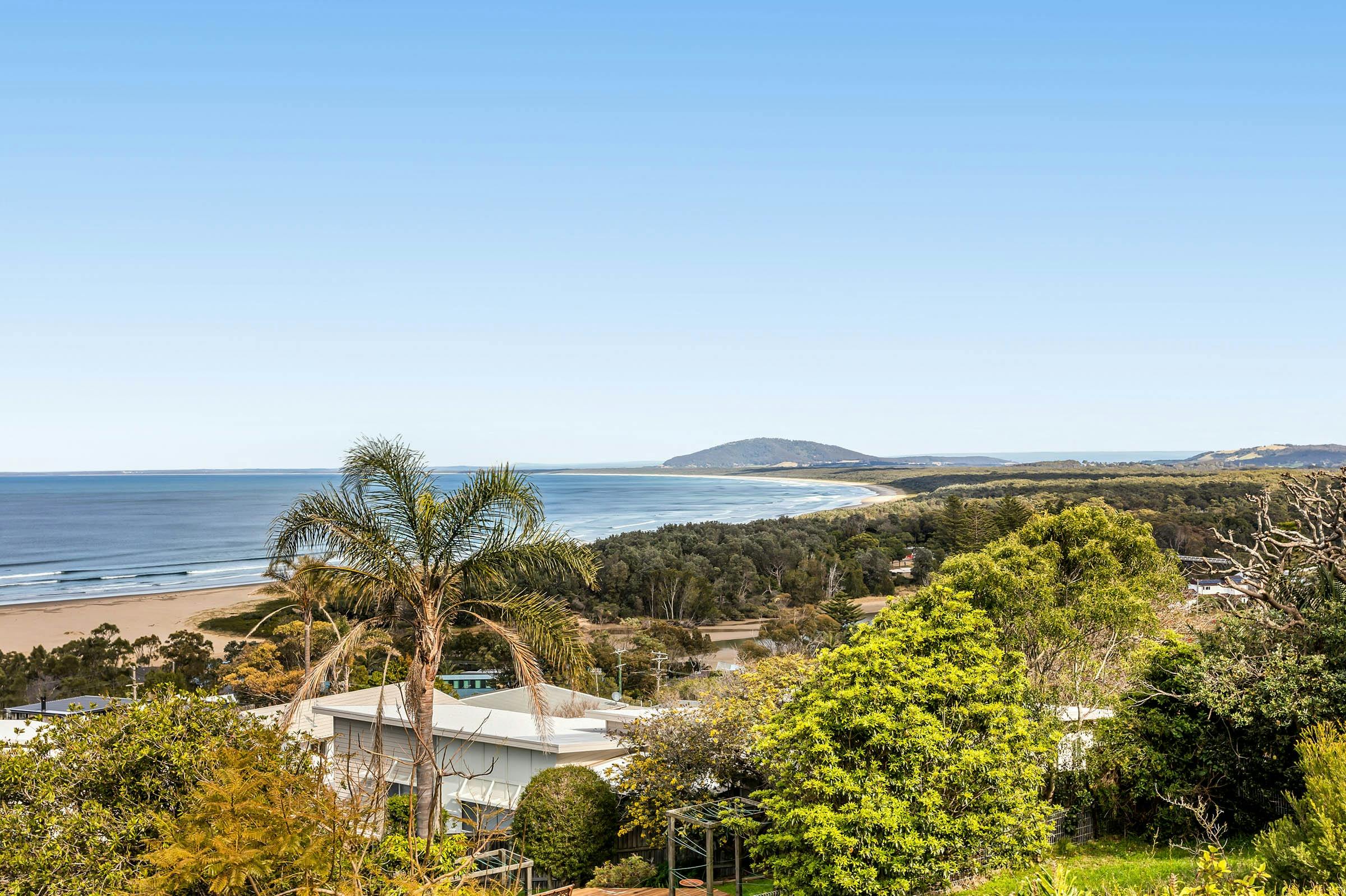 ビューショット