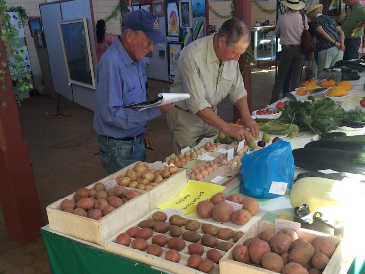 Crookwell Show 2018 Inspecting Produce