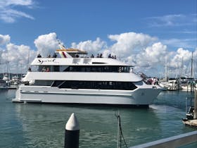 Cruise in luxury whale watching aboard the Spirit of Hervey Bay