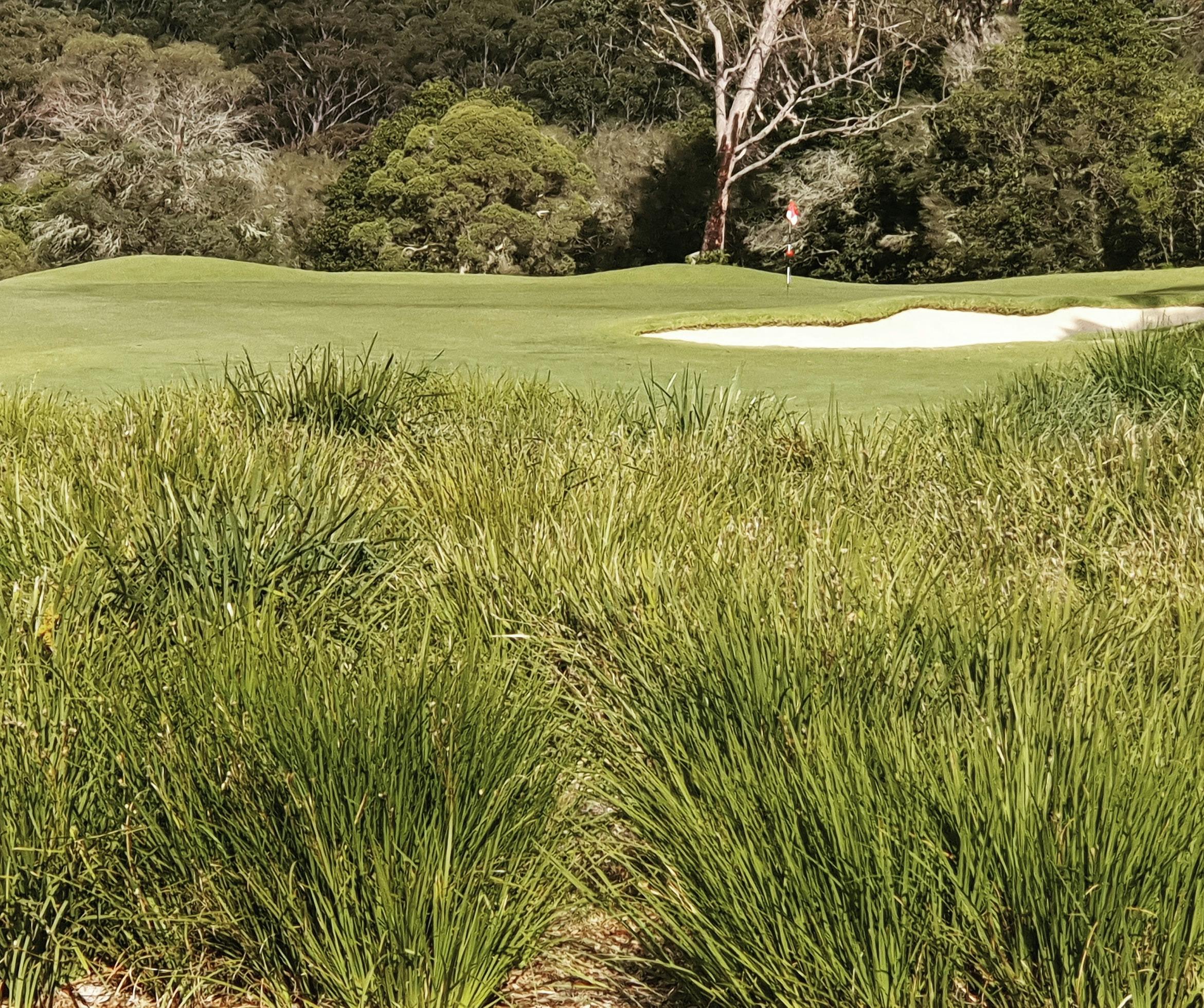 Pambula Merimbula Golf Club