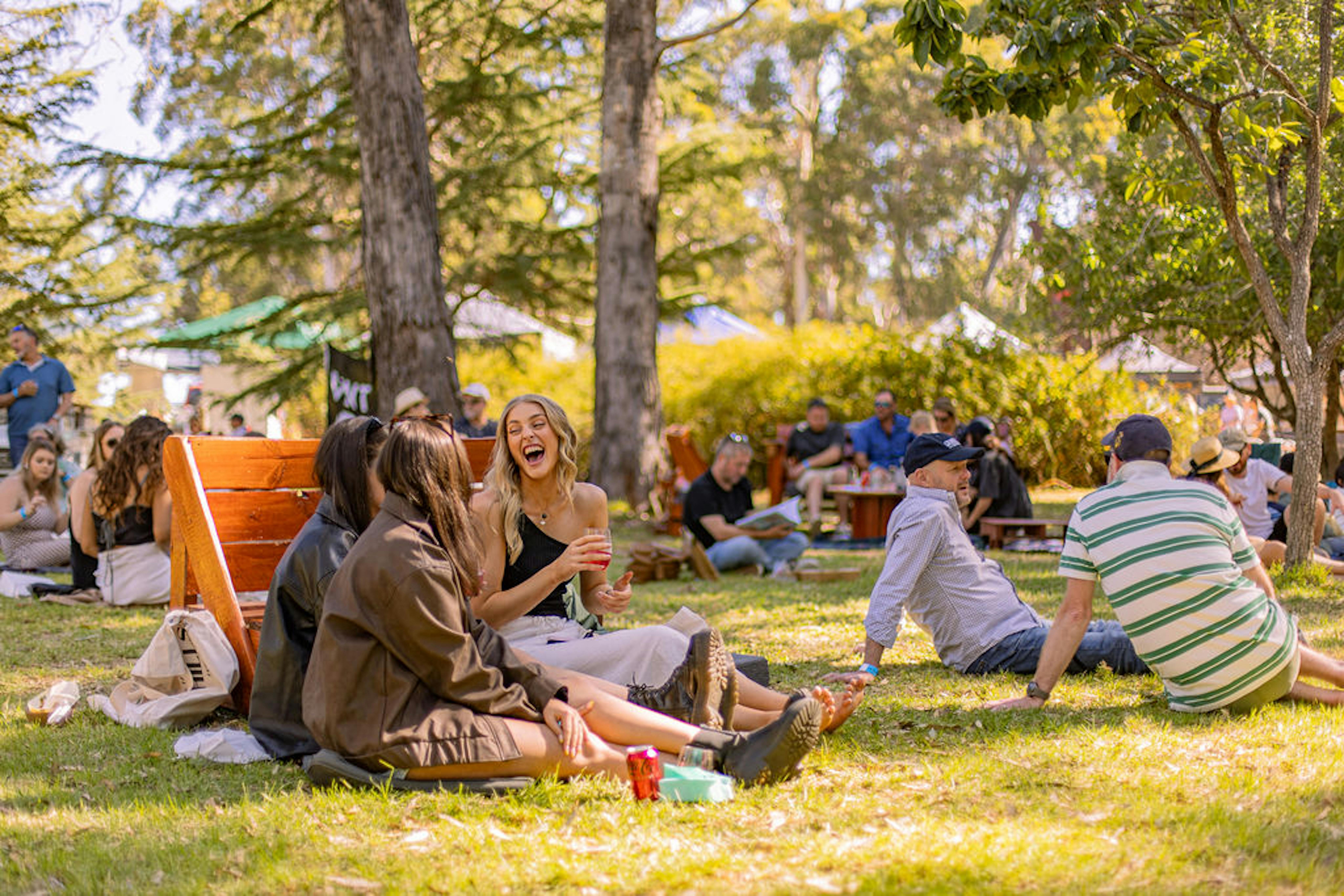 Festival
