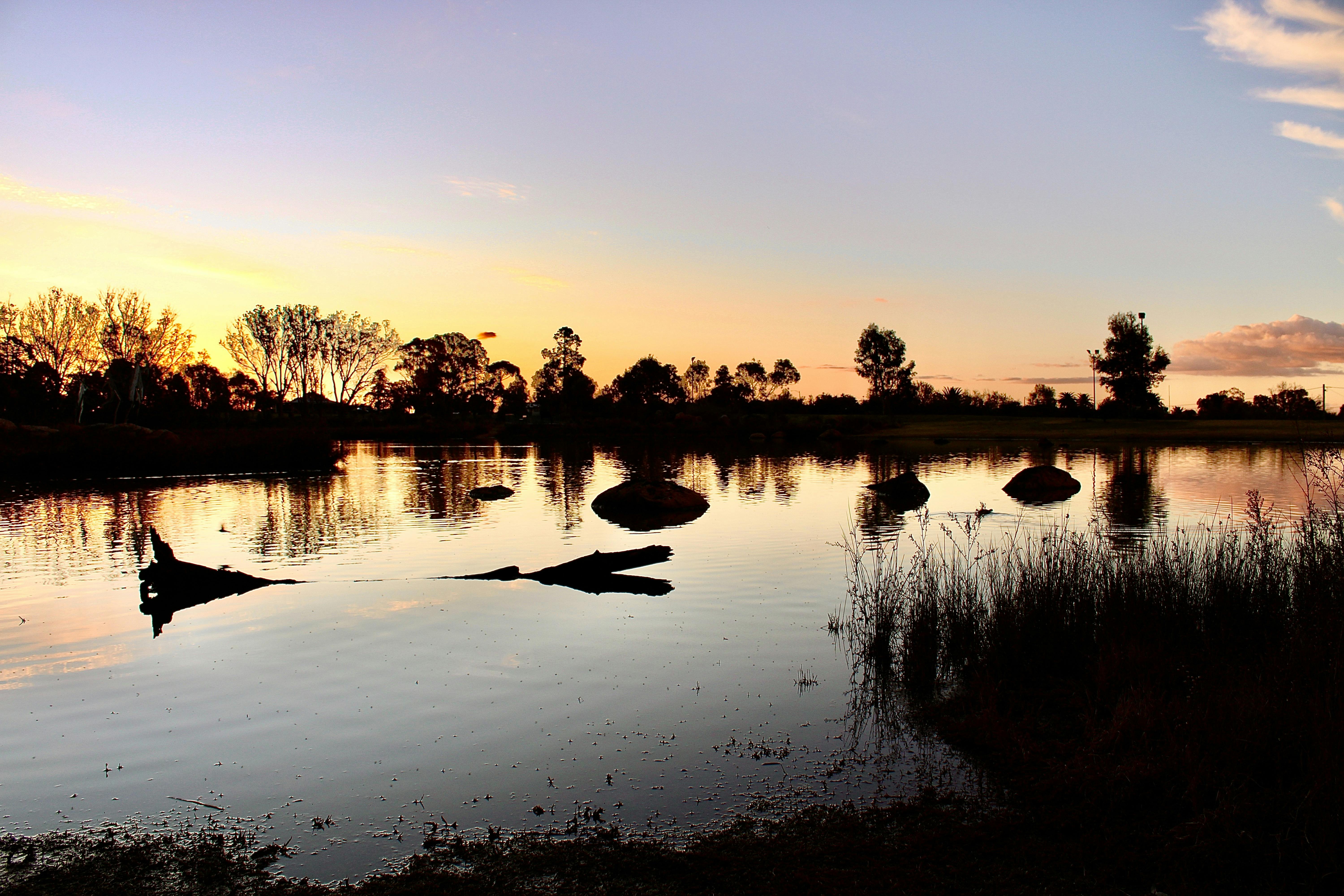 Sunset at Lake Kings Wetlands
