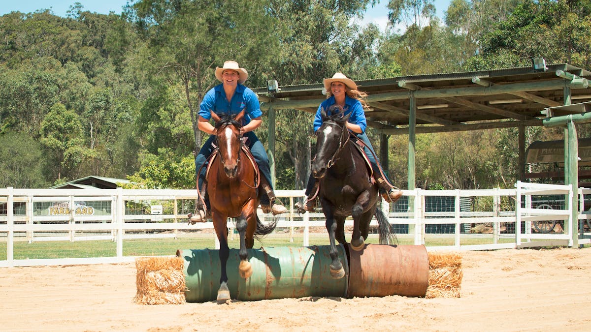 Paradise Country Stockman