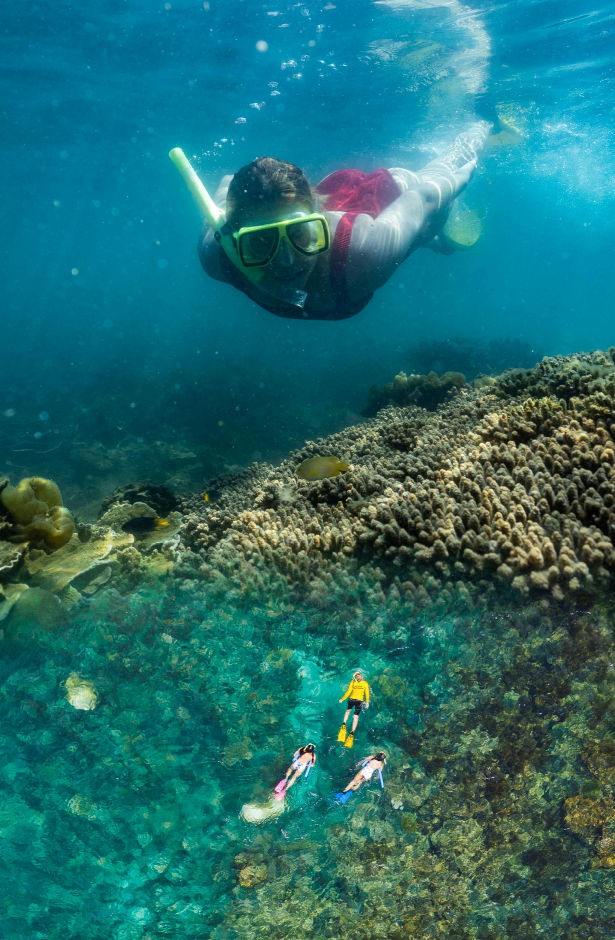 Above and Below Marine Park