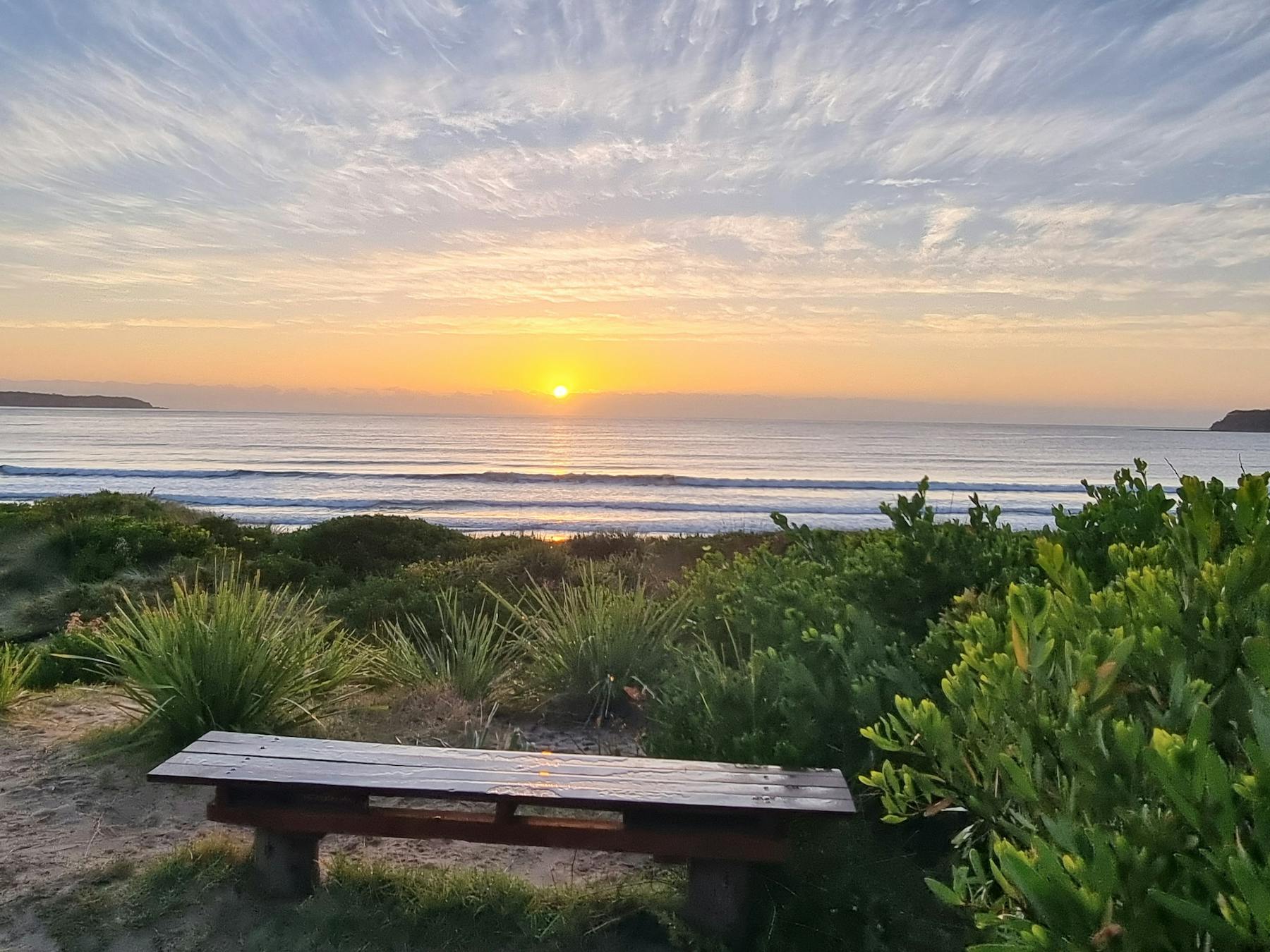 Coastal day walking within an NSW National Park.