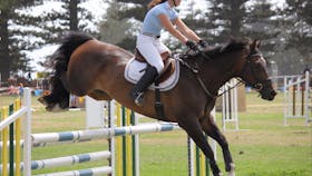 Kiama Show
