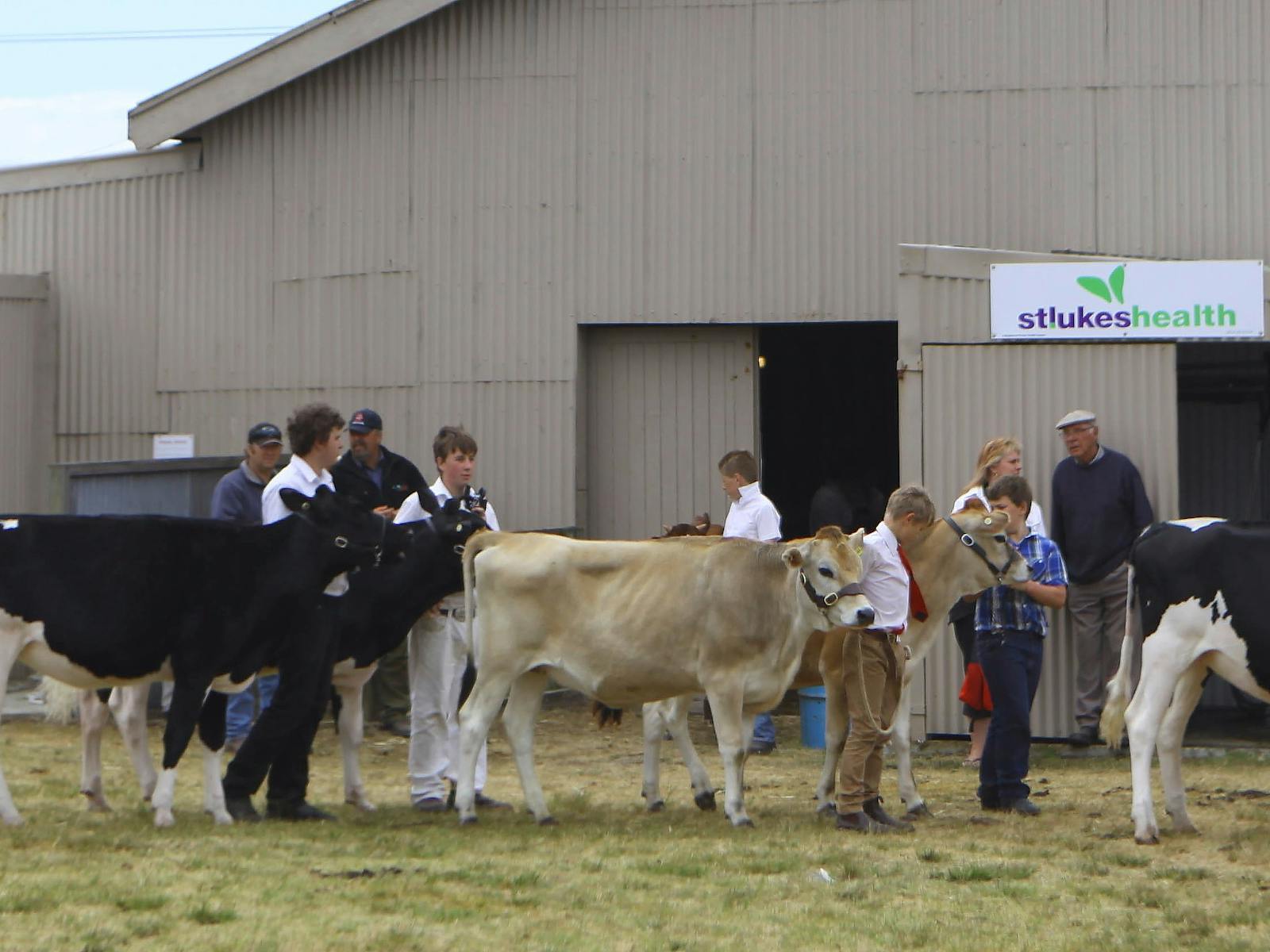 Circular Head Agricultural Show