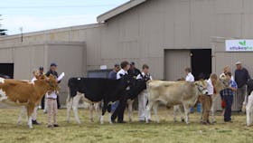 Circular Head Agricultural Show