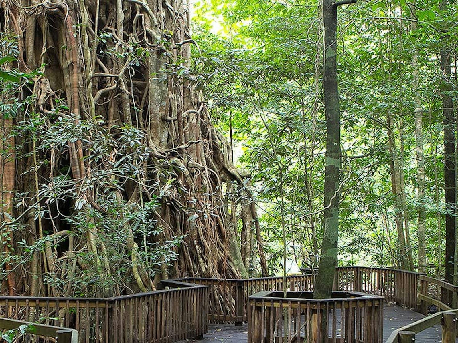 Forest and Waterfalls Half-day 4WD Adventure