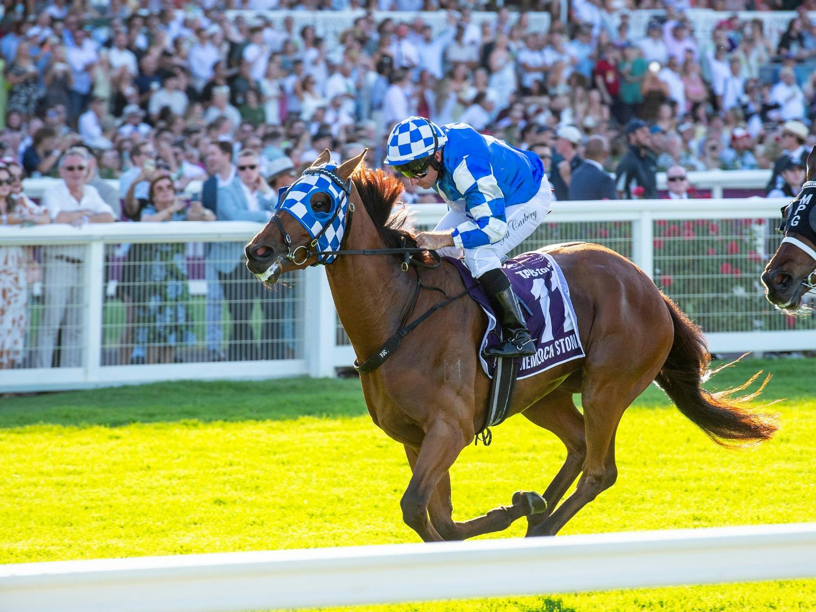 Ascot Summer Racing