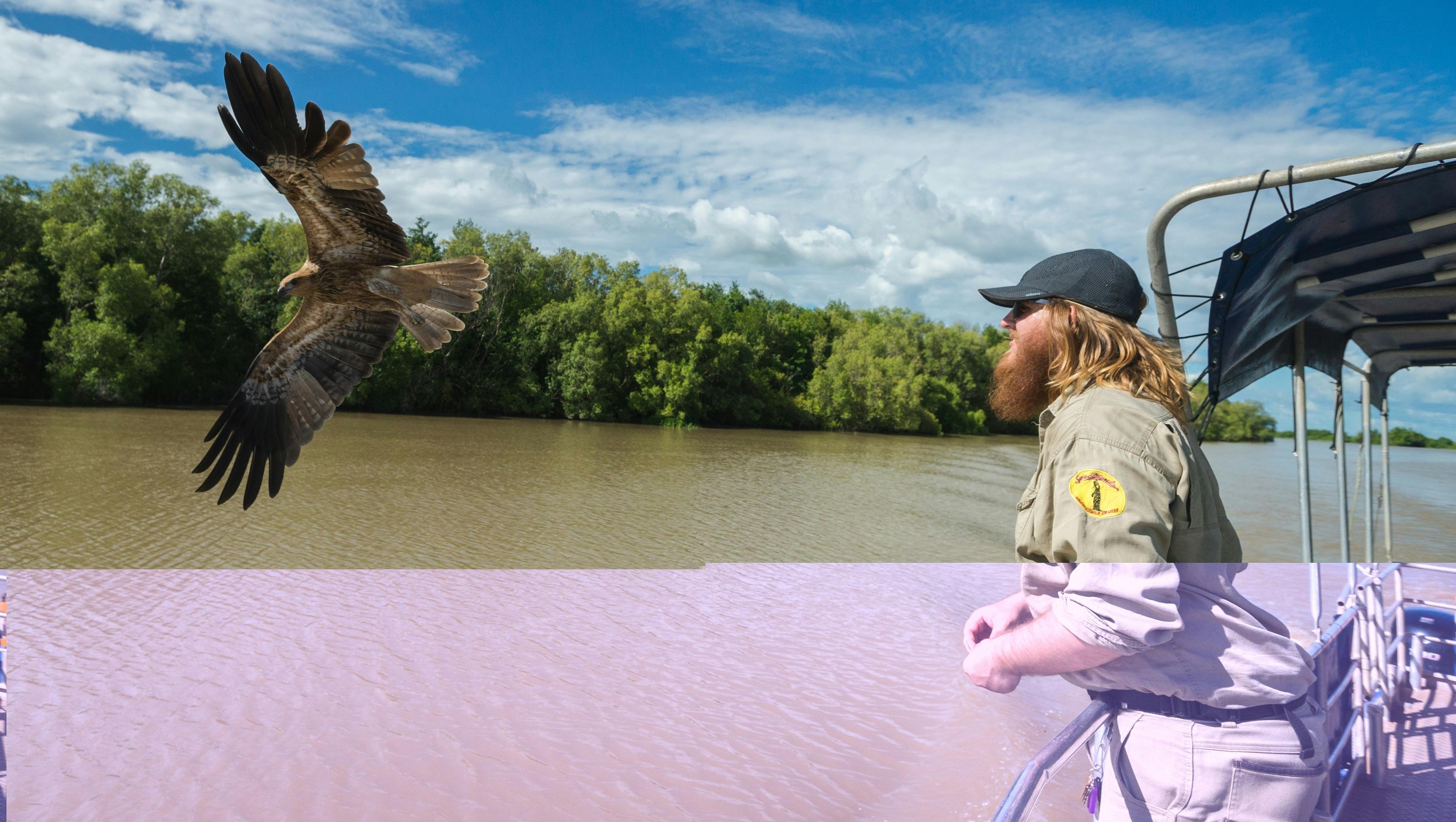 Jumping Crocodile Cruise with Sacred Owl Tours