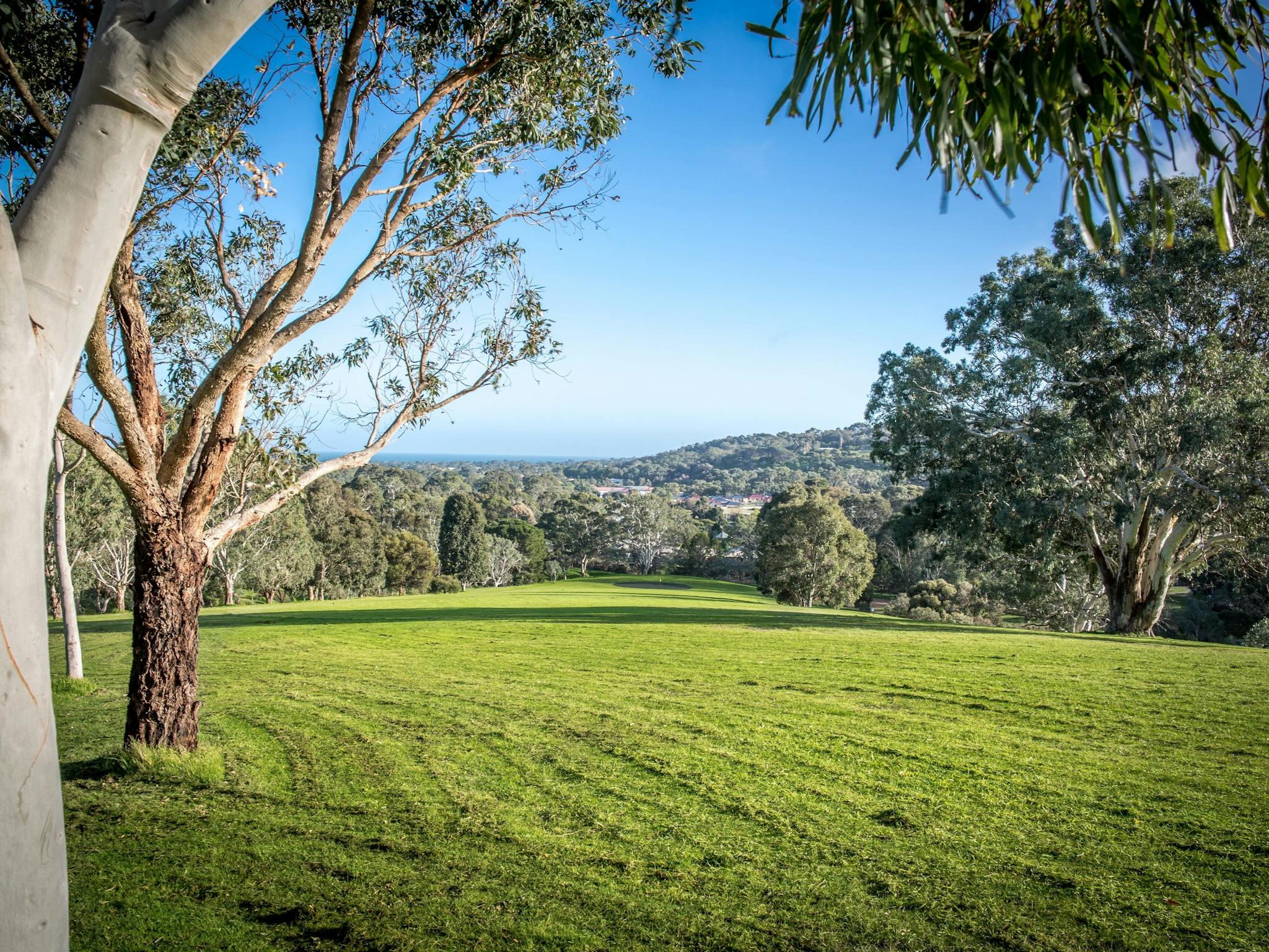 golf,scenic