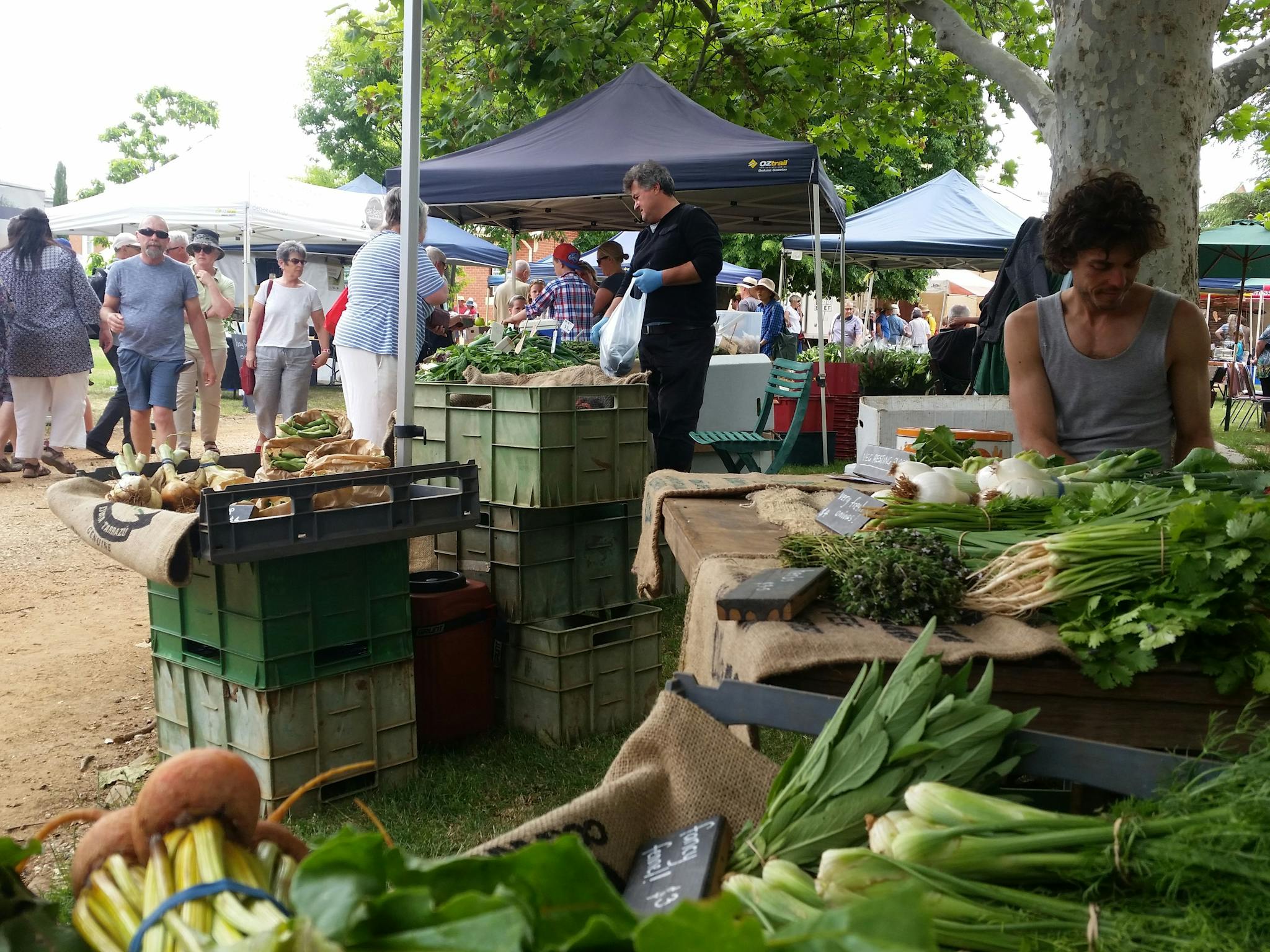 Day's Walk Farm produce