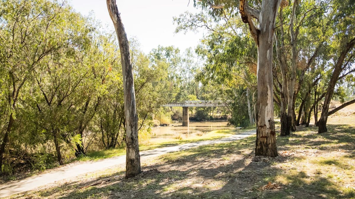 Charleys Creek Walk Chinchilla Condamine River