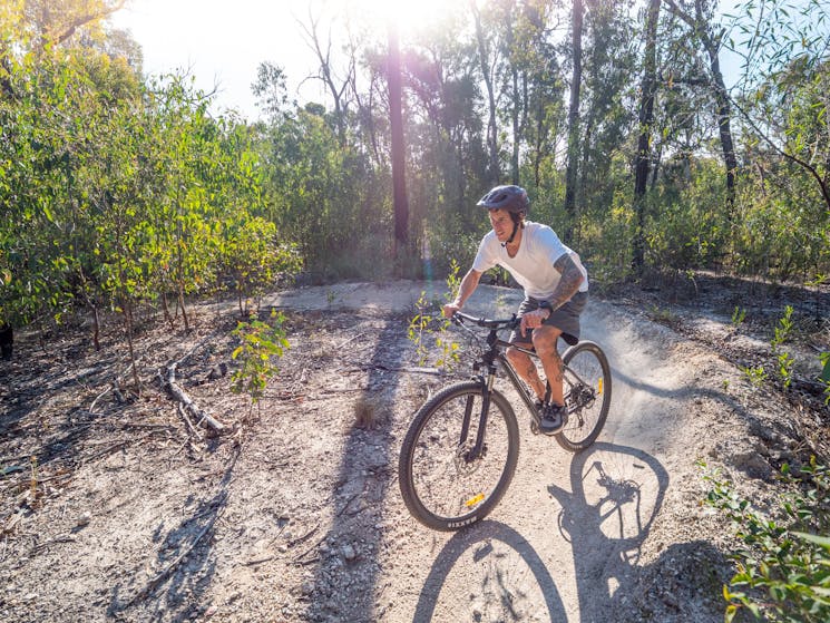 Mountain Bike rider with backlit sun in bush
