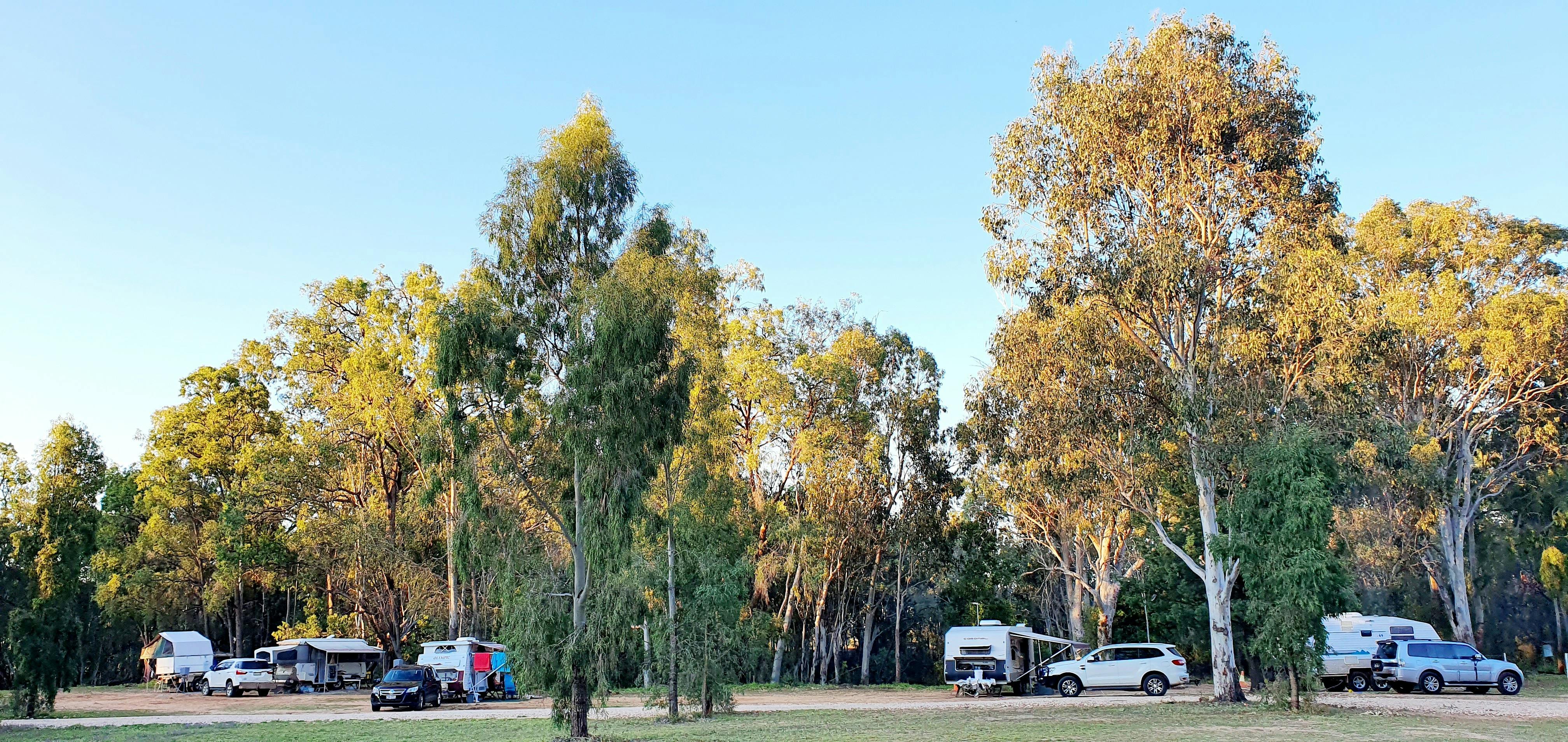 Clover Hill & Camping Southern Queensland Country