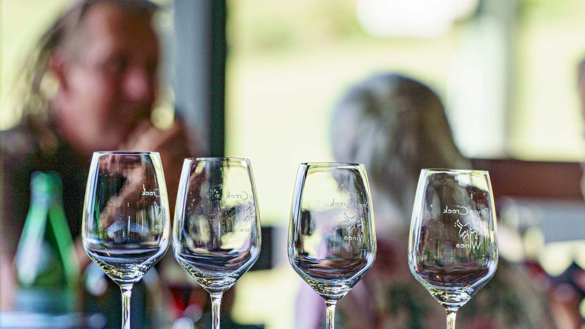 dingo creek vineyard