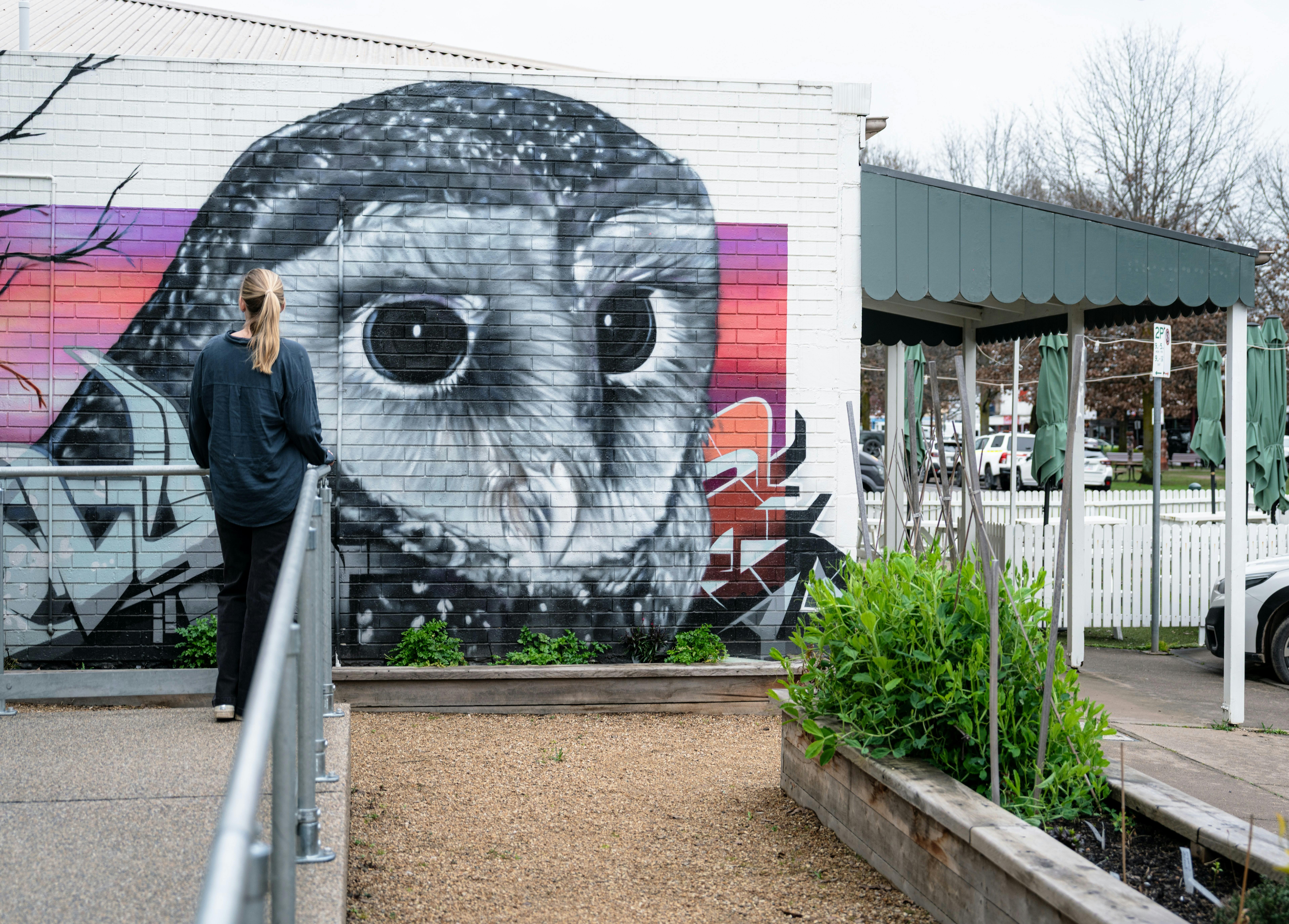 Mansfield Arts Walk