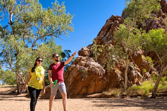 Yeperenye / Emily and Jessie Gaps Nature Park