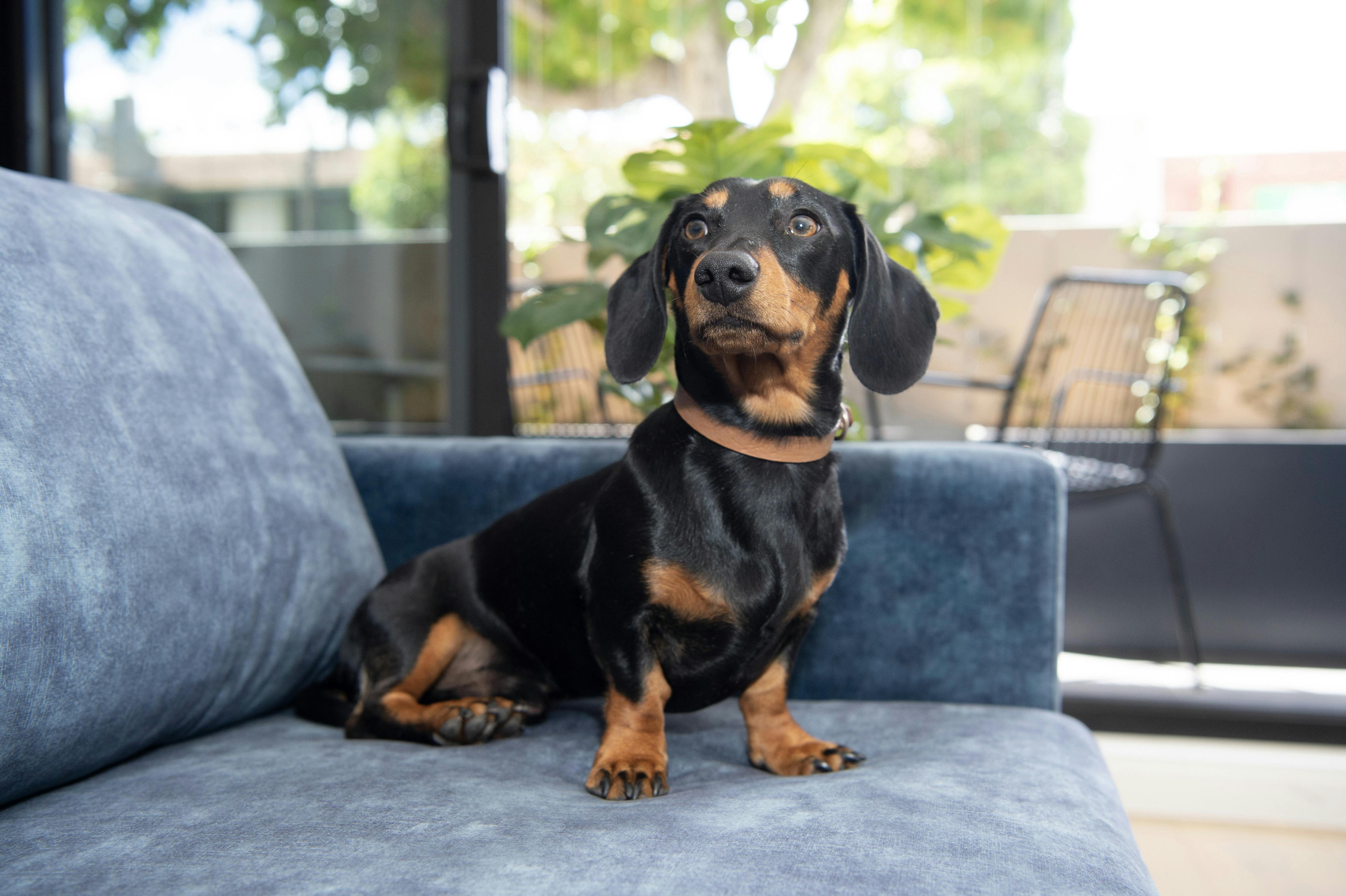 One Bedroom Bellerine Street Apartment