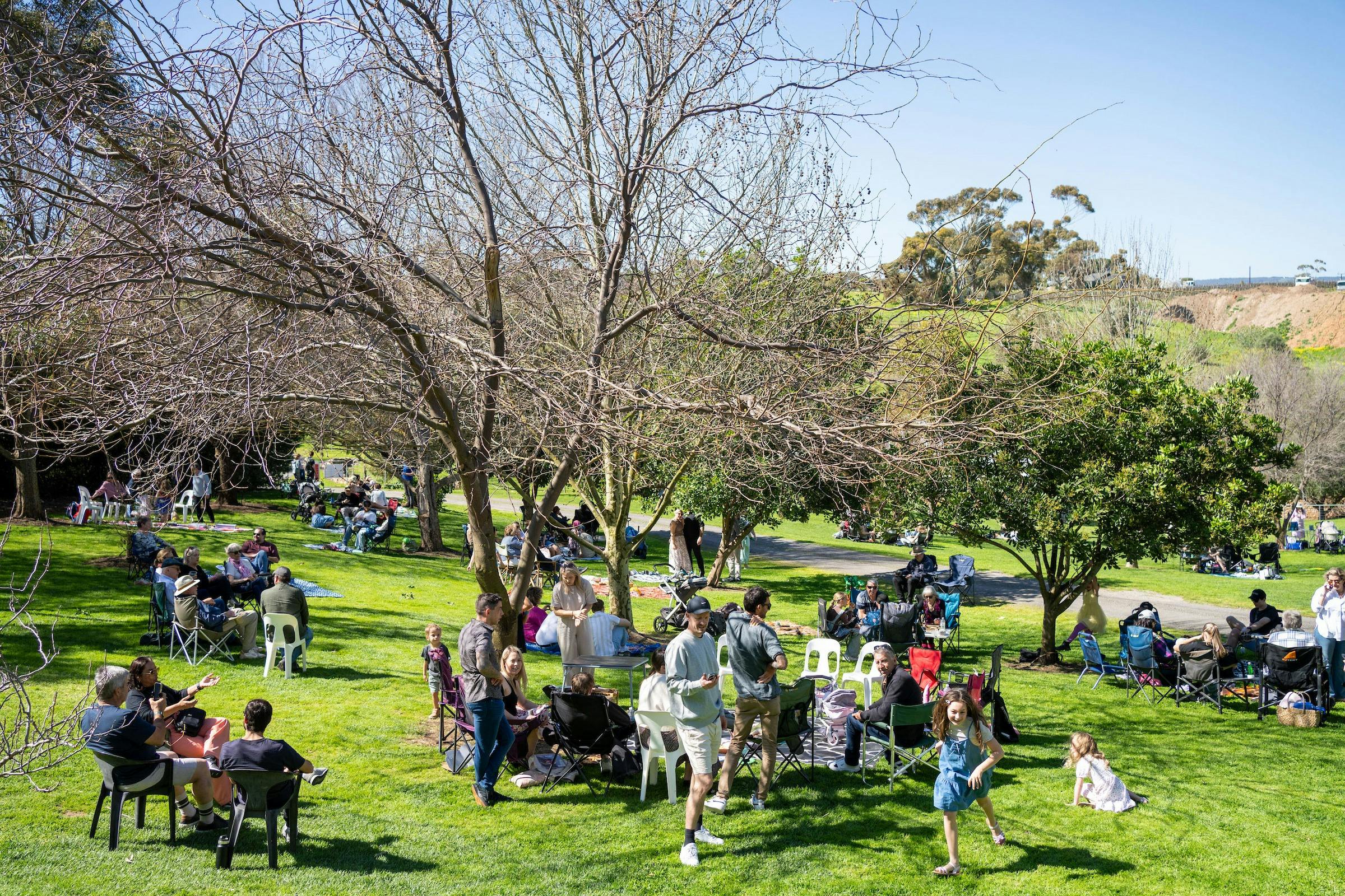 The lawns at Paxton