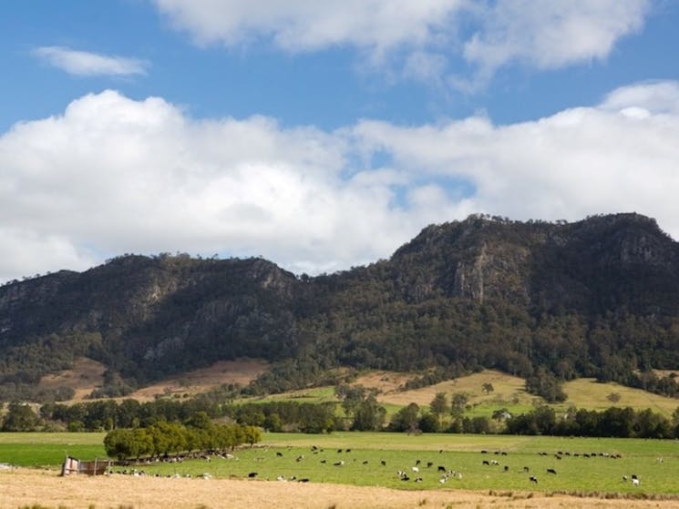 Gloucester Bowling Club | NSW Holidays & Accommodation, Things to Do