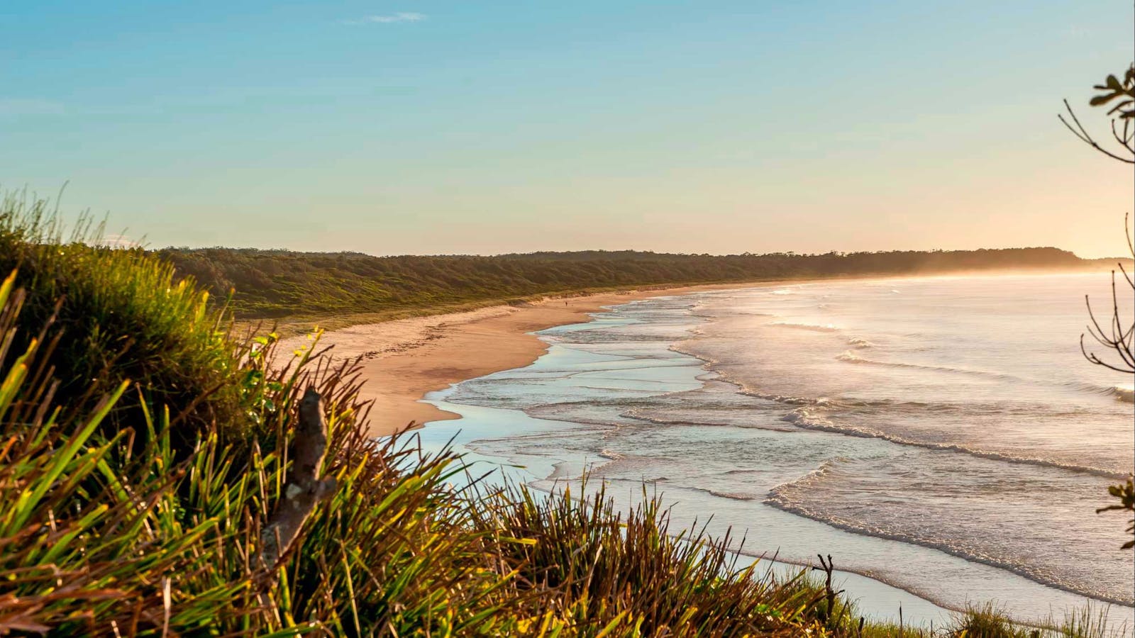 Burrawang Track - Conjola Beach to Buckleys Point